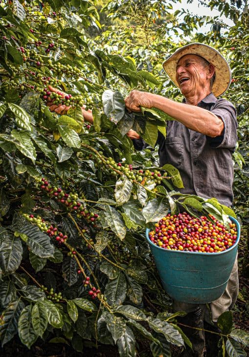 Direct trade partners: Meeting our farmers in Colombia.